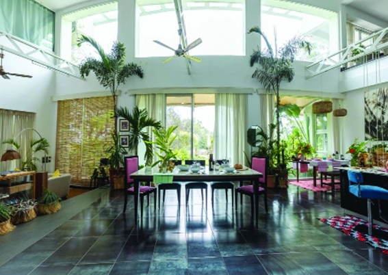 Author Article – Aesthetically Pleasing to the eye- Bougain Villa