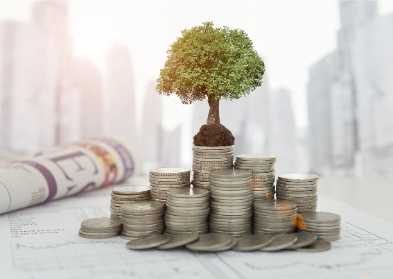 Post- Budget story- real estate